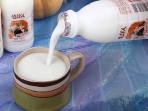 小洋人黃桃味發(fā)酵型乳酸菌奶飲品 200ml即飲型無酒精飲料的活力之選