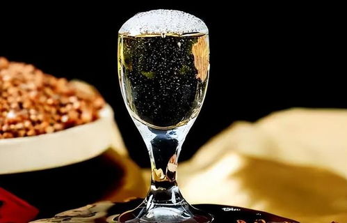 低價(jià)淘好酒有門道 避開即飲型，記住三要點(diǎn)，便宜也能喝到好滋味